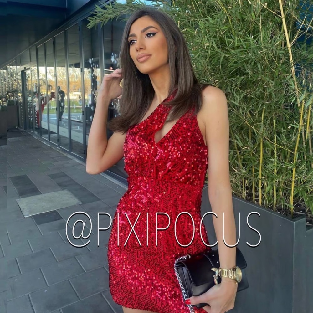 BLOGGER'S FAVE! ZARA BEAUTIFUL VELVET SEQUIN DRESS NWT